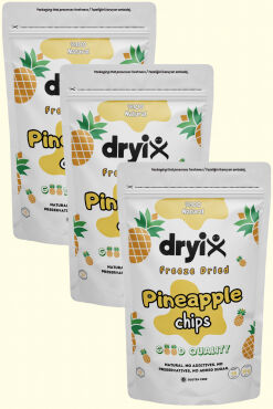 Ananas Kurusu 20 Gr Dondurarak Kurutulmuş Çıtır Meyve Cipsi Freeze Dried - 5