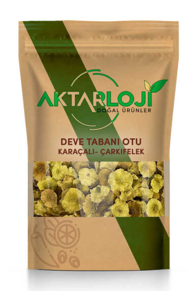 Deve Tabanı Otu ( Çarkıfelek - Karaçalı )m - 1