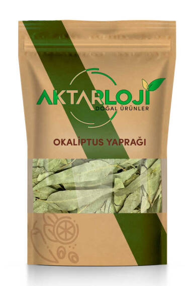 Okaliptus Yaprağı - 1